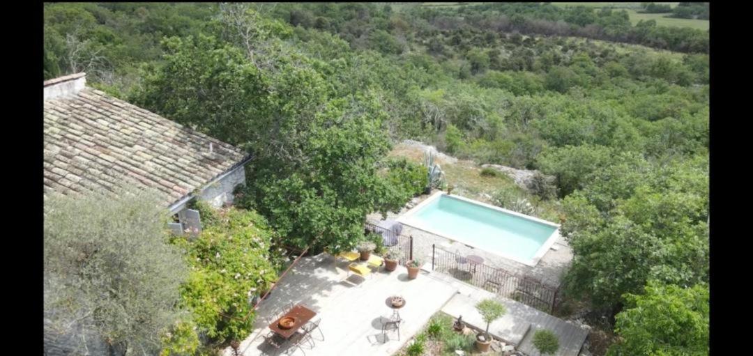 Le Petit Mas Bed & Breakfast Vogue Ngoại thất bức ảnh